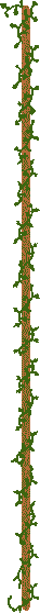 vine.gif